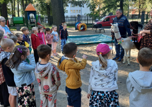 dzieci słuchają ciekawostek o alpakach