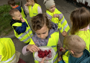Dzieci jedzą kupione maliny w warzywniaku