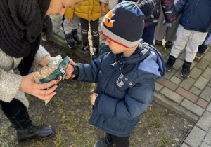 Chłopiec będzie dokarmiał ptaki