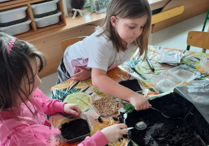 Dziewczynki wsypują ziemię do pojemników