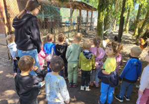Dzieci z grupy I oglądają zwierzęta gospodarskie: kury, gęsi i kozę.