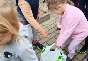 Dzieci oceniają wagę zebraanych kasztanów