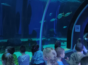 Wizyta w Orientarium