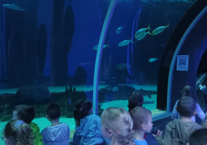 Dzieci oglądają podwodny tunel oceaniczny