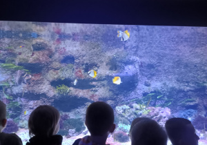 Dzieci przy akwarium z rybami