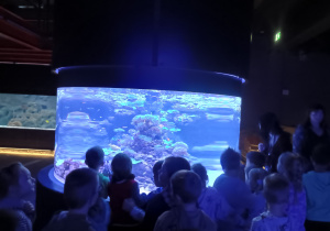 Dzieci przy akwarium z rybami