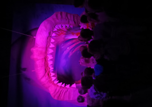 Dzieci przy rekonstrukcji szczęki rekina