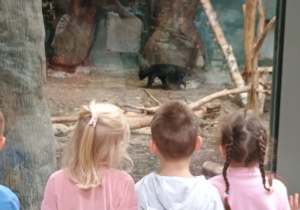 Dzieci przy wybiegu dla niedźwiedzia