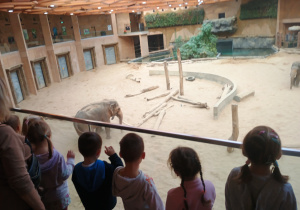 Dzieci przy wybiegu dla słoni