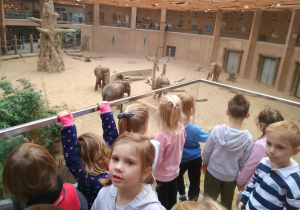 Dzieci przy wybiegu dla słoni