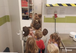 Dzieci ustawione w pociągu