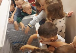 Dzieci wkładają ręce do zamrażarki