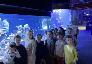 Dzieci obserwują ryby