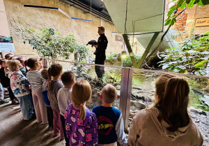 Dzieci oglądają żółwia
