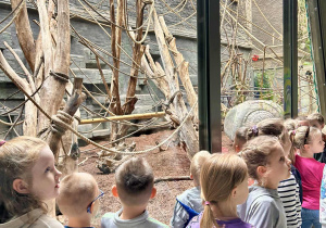 Dzieci oglądają małpki