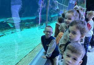Dzieci oglądają ryby