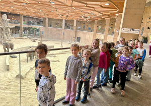 Dzieci oglądają słonie