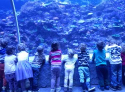 Wycieczka do Orientarium