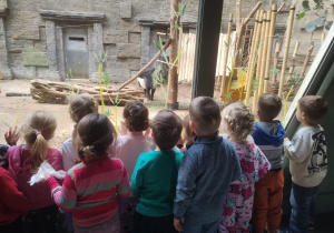 Dzieci obserwują tapira malajskiego