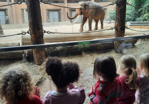 Dzieci przy wybiegu dla słoni