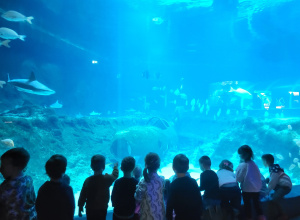 Dzieci oglądają wielkie akwarium