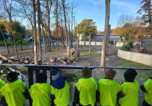 Dzieci oglądają słonie z tarasu na zewnątrz budynku