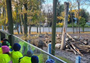 Dzieci oglądają słonie z tarasu na zewnątrz budynku