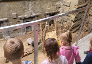 Dzieci z tarasu oglądają tapira