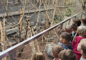 Dzieci oglądają małpy bawiące się na linach