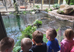 Dzieci obserwują krokodyle