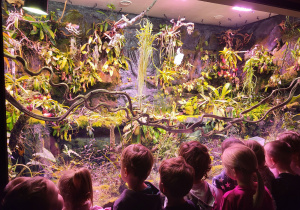 Dzieci oglądają rośliny mięsożerne