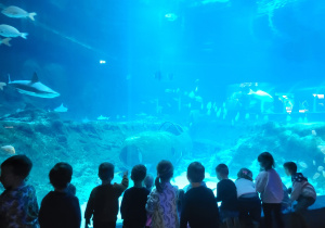 Dzieci oglądają wielkie akwarium