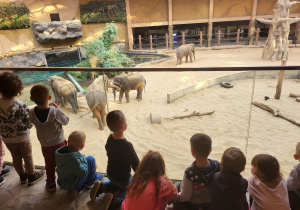 Dzieci oglądają słonie z tarasu w budynku