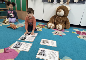 Chłopiec układa ilustracje przedstawiające historię powstania Dnia Pluszowego Misia