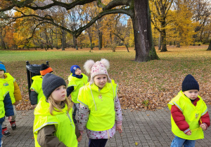 Dzieci szukają pomników przyrody
