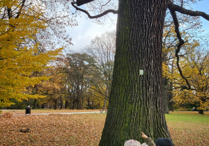 Dzieci szukają pomników przyrody