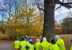 Dzieci szukają pomników przyrody