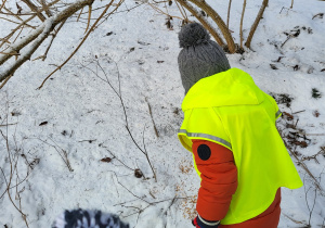 Chłopiec sypie ziarenka