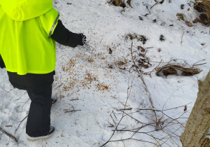 Chłopiec sypie ziarenka