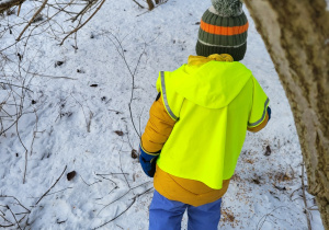 Chłopiec sypie ziarenka