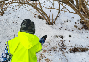 Chłopiec sypie ziarenka