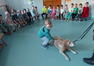 Chłopiec głaszcze psa
