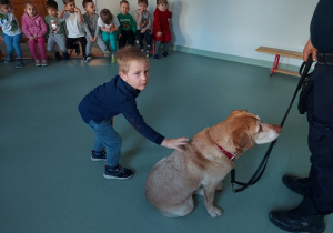 Chłopiec głaszcze psa