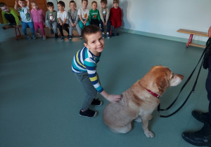 Chłopiec głaszcze psa