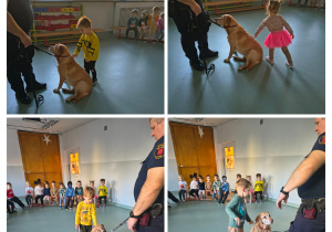 Dzieci głaszczą psa