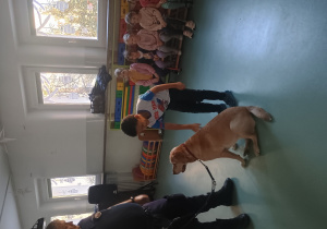 Chłopiec głaszcze psa