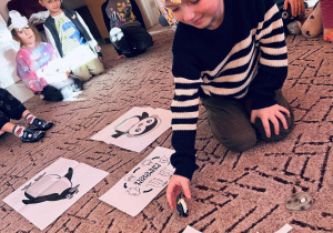 Chłopiec układa cykl życia pingwina