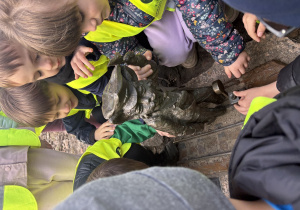 Dzieci poznają Koci Szlak