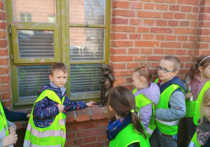 Dzieci poznają Koci Szlak