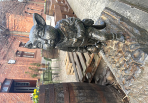 Dzieci poznają Koci Szlak